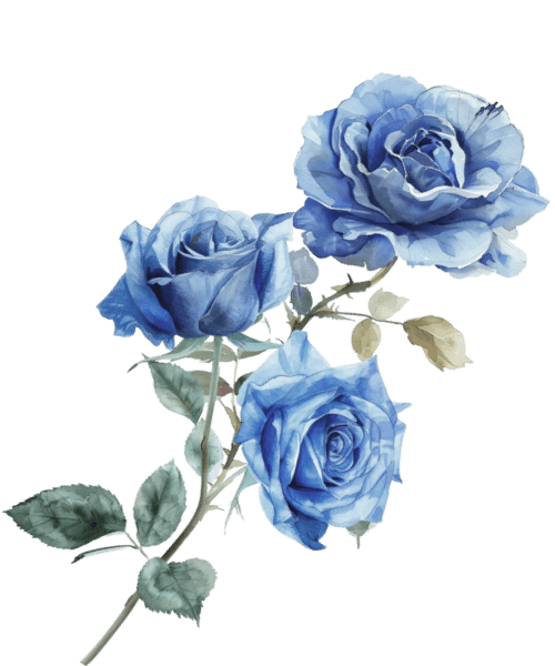 Garden 05 Couple 2 1.png